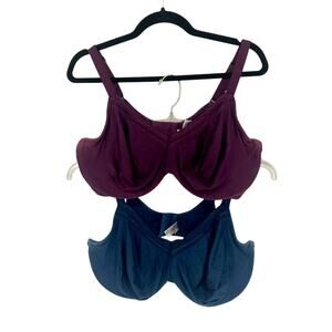 Wacoal Bra Intimates Set - Purple and Blue - 42DDD